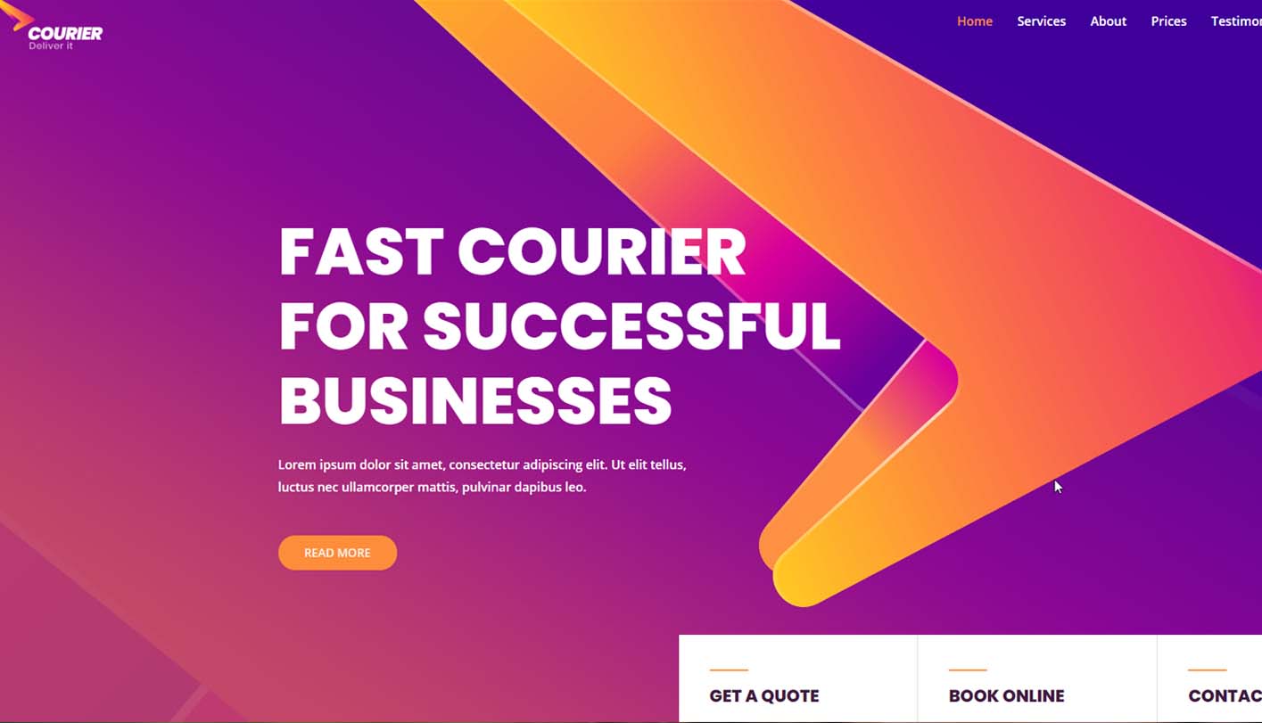 Portfolio 10